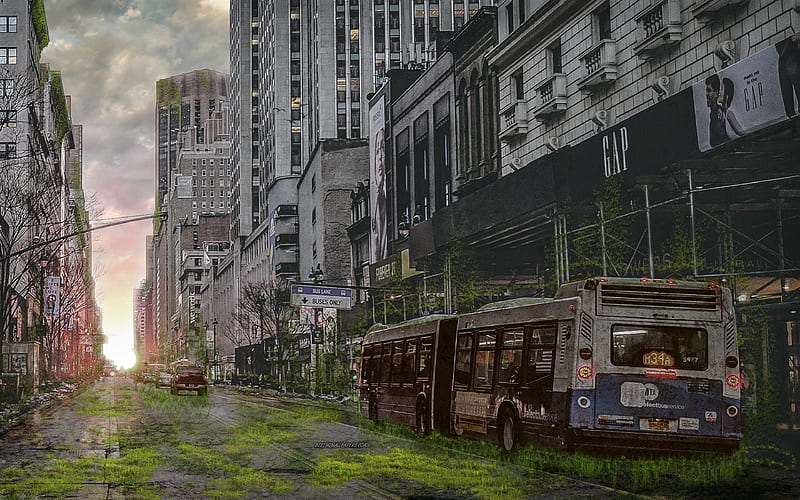 New York apocalypse, world after people, USA, city after people, fantasy, art work, rusty bus, HD wallpaper