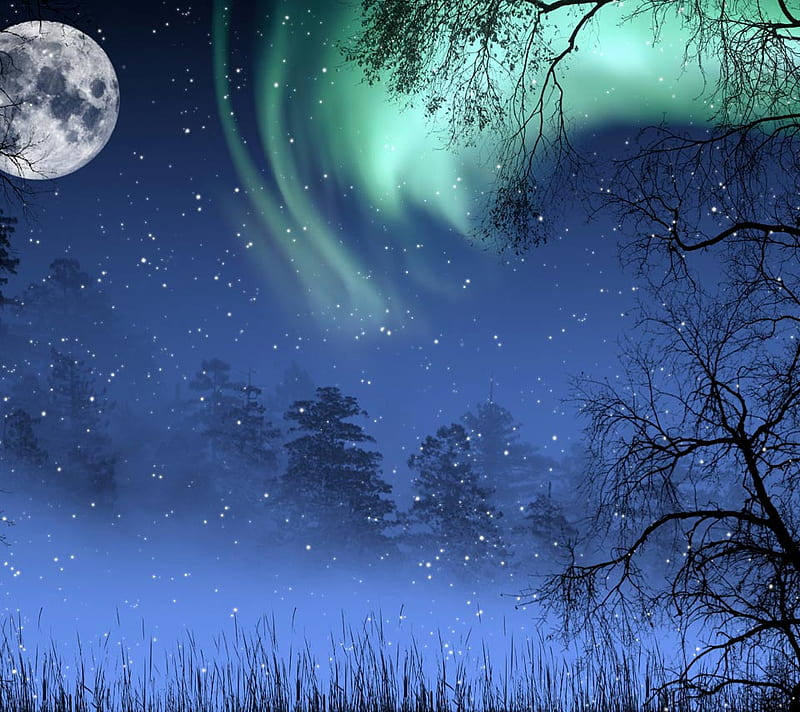 Magical night, magic, trees, glow worms, fantasy, moon, moonlight, imagination, blue, night, HD wallpaper