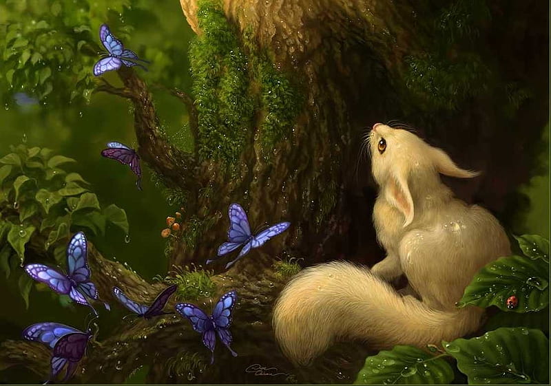 White squirrel and blue butterflies, fantasy, squirrel, butterfly, luminos, white, diane ozdamar, forest, art, veverita, creature, HD wallpaper