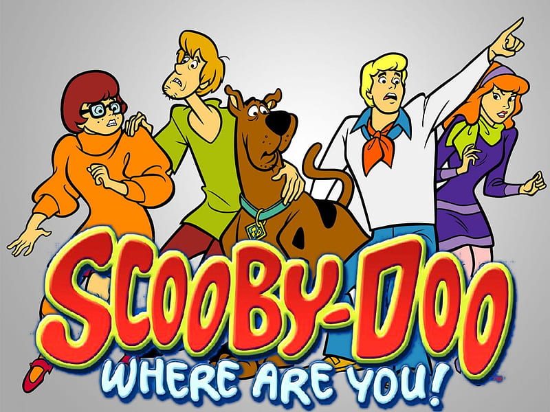 Scooby doo where are you, scooby doo, funny, where are u, tv show, HD wallpaper