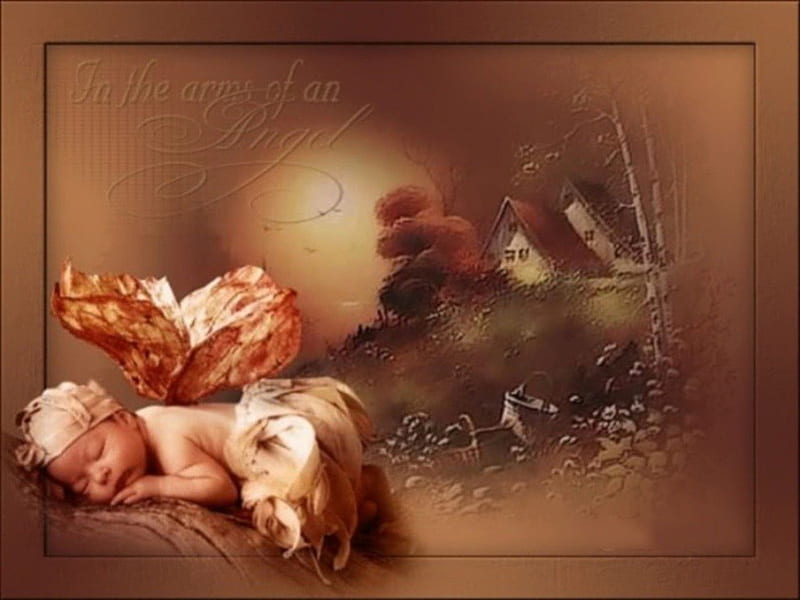 baby wood elf, tree, sun, wings, cottage, HD wallpaper