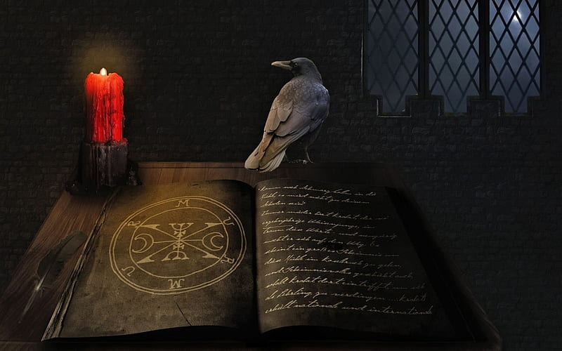 In the Dark, red, Books, circles, magic, Book, black magic, raven, birds, black, Knowledge, candles, sorcerer, medieval, dark, crow, occult, HD wallpaper