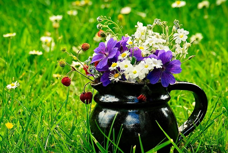 Bonitas flores silvestres, bonitas, flores silvestres, naturaleza, hierba,  Fondo de pantalla HD | Peakpx