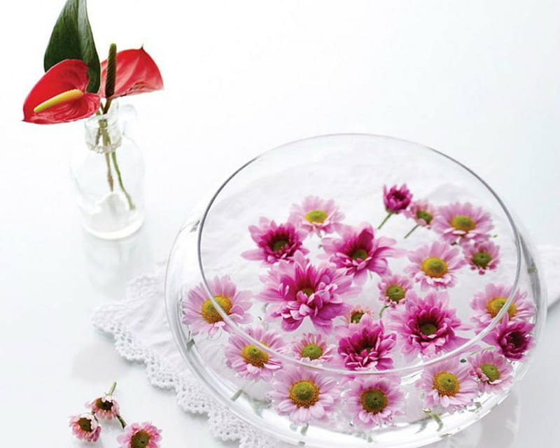 Flowers in a Bowl, glass, flowers, petals, bowl, HD wallpaper