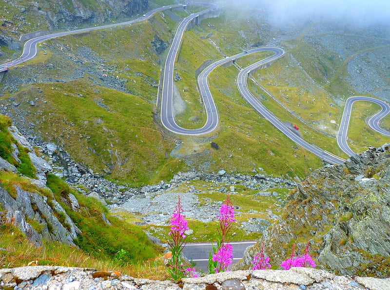 Zigzag route, mountain, serpentine, green, grass, flowers, route, zigzag, landscape, HD wallpaper