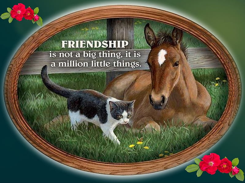 Friendship, friends, horses, animals, cute, cats, pair, HD wallpaper