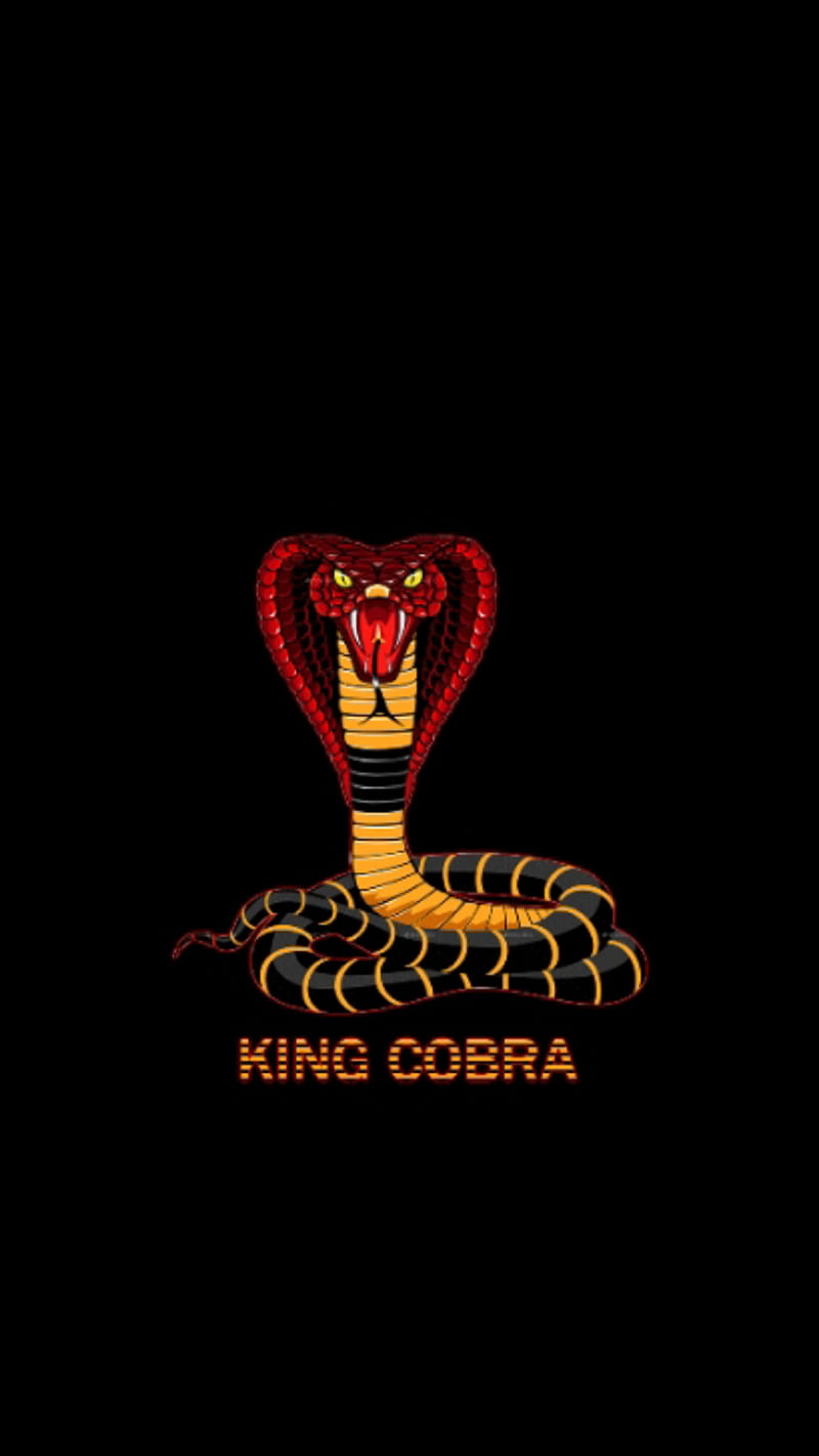 KING KOBRA, cobra, edge, halloween, halloween , skull, snake, HD phone wallpaper
