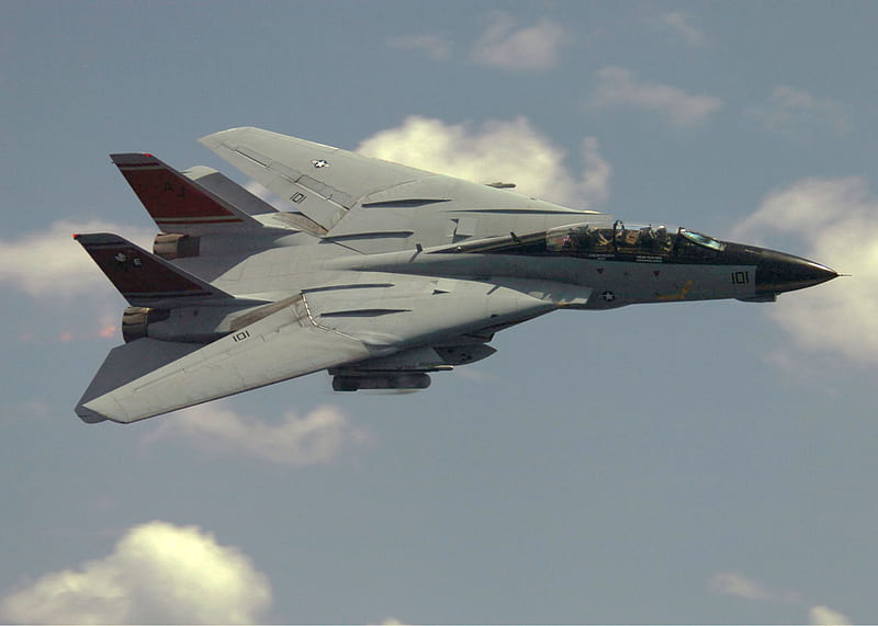 Grumman F-14 Tomcat, f 14 tomcat, us navy, united states navy, jet, HD wallpaper