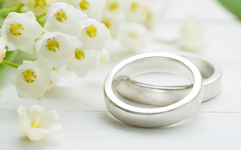 wedding rings, white spring flowers, wedding concepts, white gold rings, pair of rings, HD wallpaper