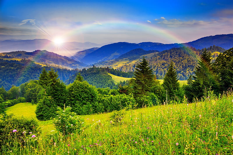 Rainbow over mountain, colorful, sun, grass, shine, bonito, rainbow, valley, mountain, wildflowers, hills, sunlight, greenery, sky, trees, freshness, rays, landscape, HD wallpaper