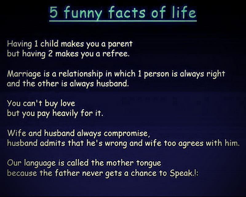 Funny Facts, hasband, hilarious, life, wife, HD wallpaper