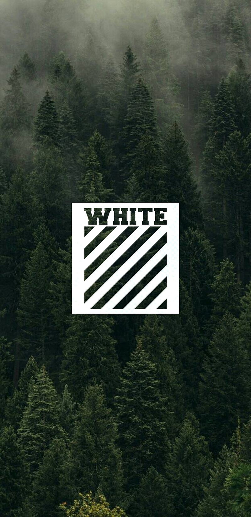 Off-white, day, foggy, forest, green, HD phone wallpaper