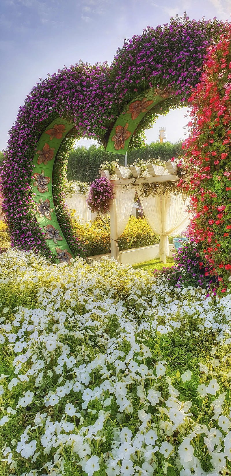 Flower Heart, dubai, flowers, garden, heart, jardin, love, miraclegarden, purple, romantic, white, HD phone wallpaper