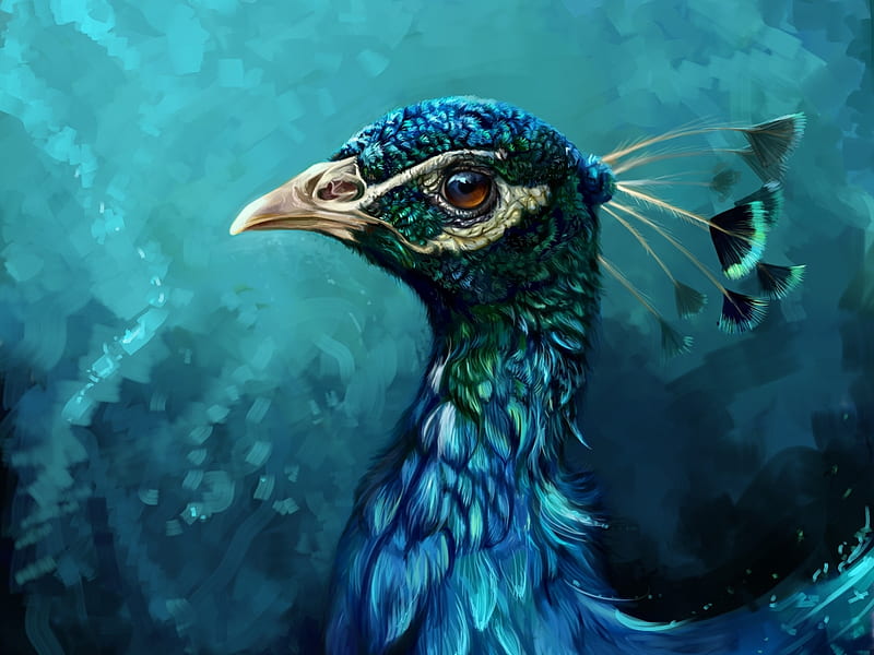 Peacock, art, luminos, salamandra s, fantasy, bird, feather, paun, blue, HD wallpaper
