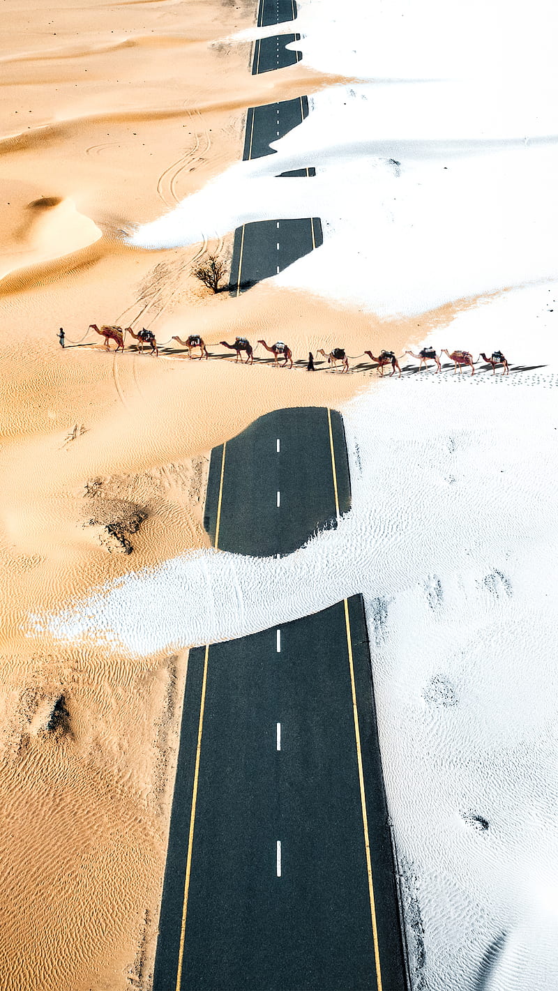 Sand & Snow, Demas, art, camels, demasrusli, desert, desenho, digital art,  drone graphy, HD phone wallpaper | Peakpx