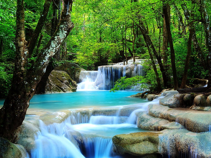 amazing waterfalls-, amazing, nature, trees, waterfalls, HD wallpaper