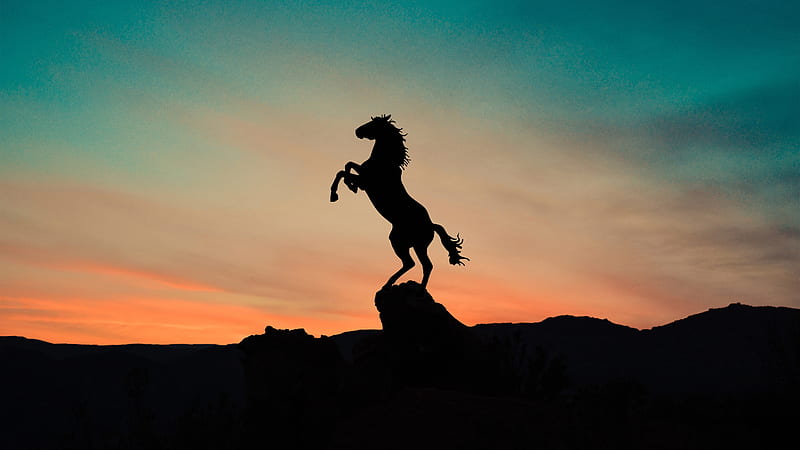 horse silhouette, sunset, scenery, Animal, HD wallpaper