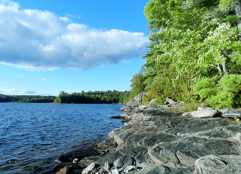 Anstruther Lake , Canada, Trees, Sky, Clouds, Summer, Lake, graphy, Rocks, Nature, Canada, HD wallpaper