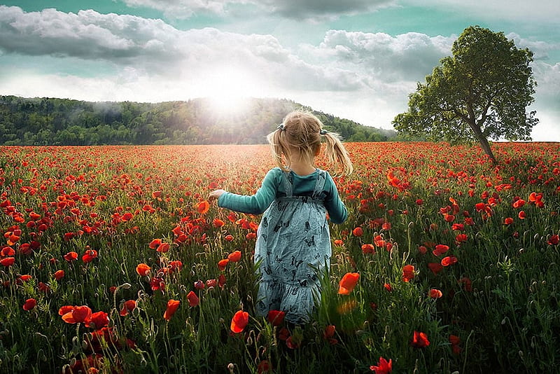Little Girl in Field, sun, poppies, tree, summer, blossoms, summerhills, HD wallpaper