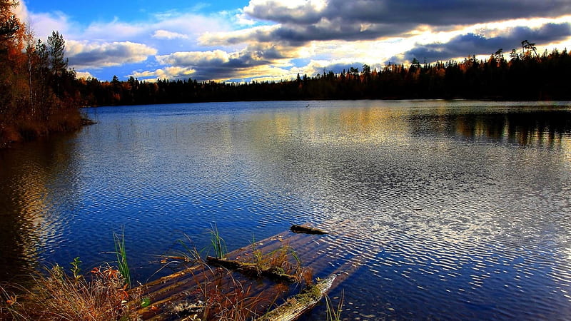 flooded pond-Beautiful scenery, HD wallpaper