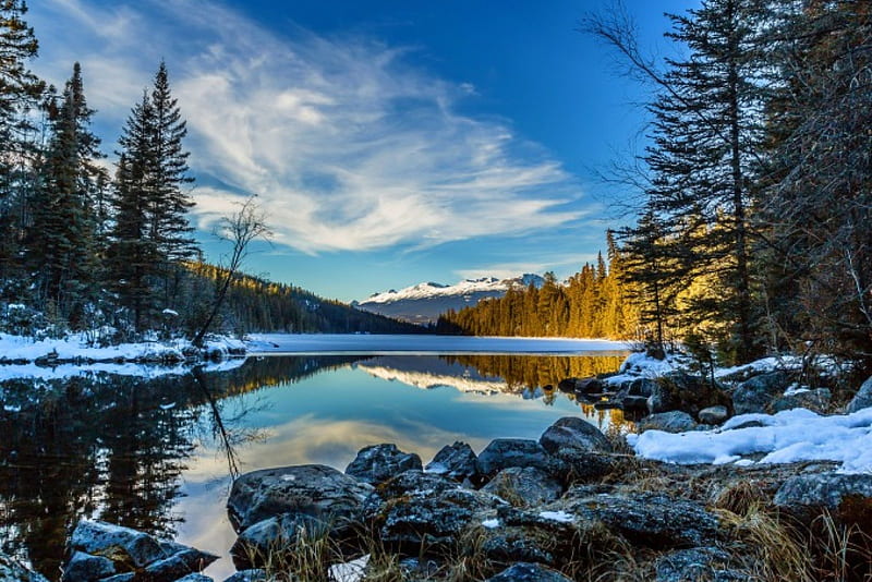 Winter's Reflection Of Summer, forest, National Park, bonito, trees, lake,  Canada, HD wallpaper