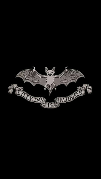 110 Bat HD Wallpapers and Backgrounds