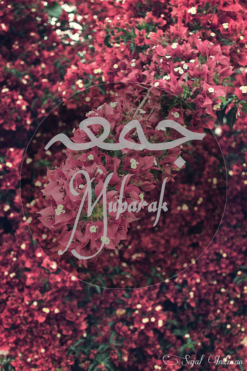 Jummah mubarak, beautiful, jummah mubarak, HD phone wallpaper | Peakpx