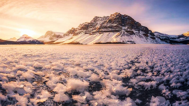 Winter’s flora in full bloom - Bow Lake, Alberta, sky, ice, mountain, landscape, clouds, canada, HD wallpaper