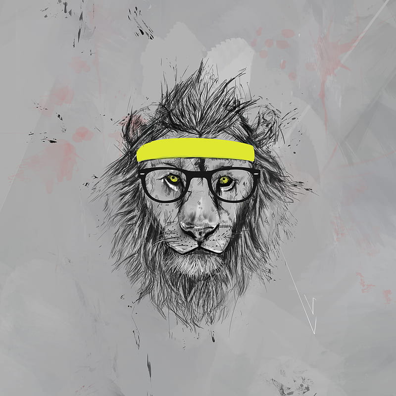 Hipster lion, Balazs, animal, drawing, funny, headband, humor, sport, HD  phone wallpaper | Peakpx