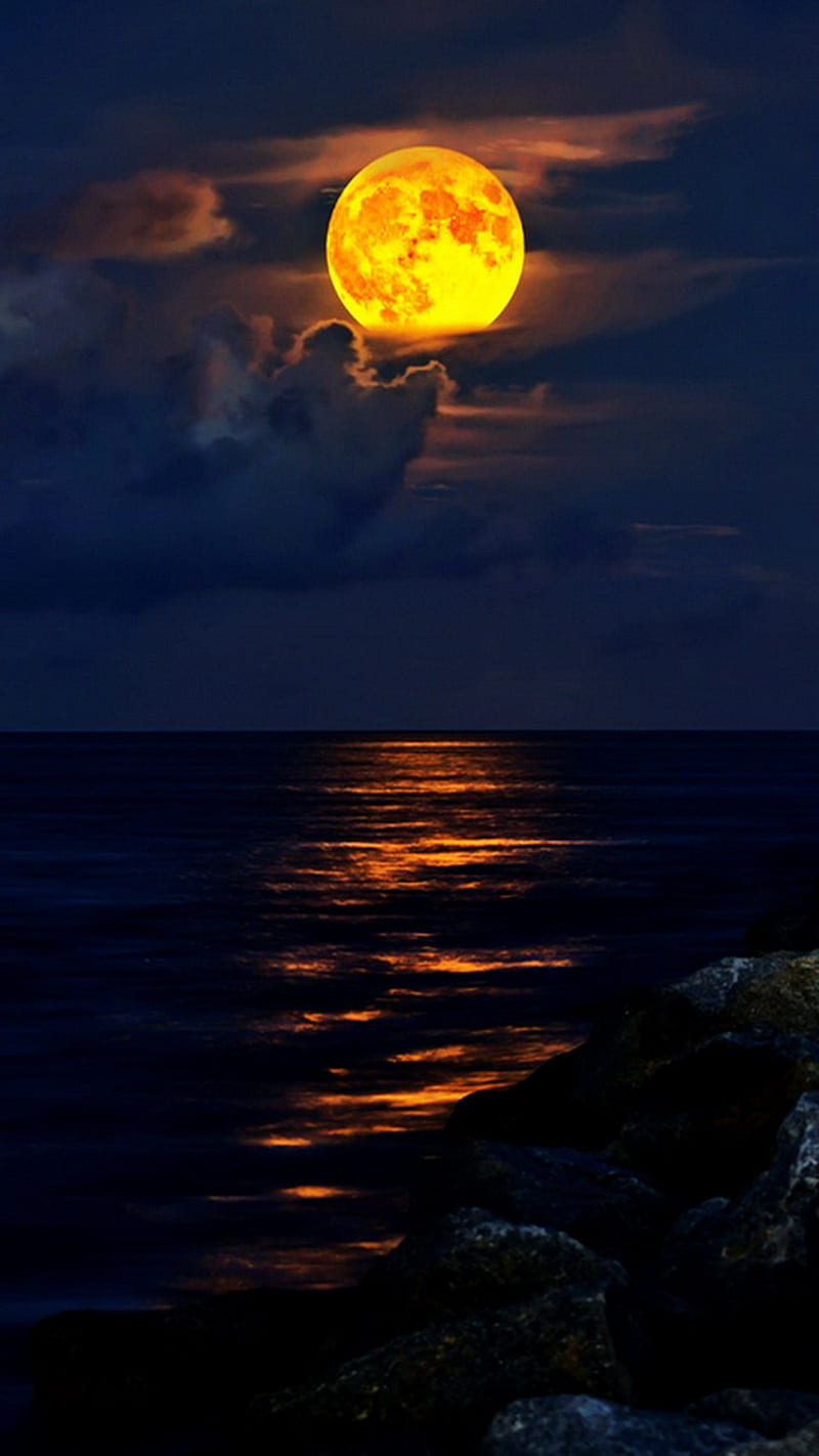 Jupiter Beach, full, inlet, moon, night, sea, HD phone wallpaper