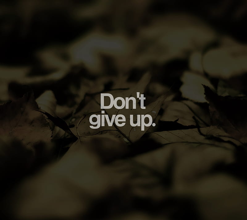 Dont Give Up, hope, ppl, HD wallpaper