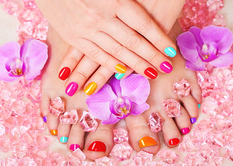 Sweet colors, colorful, legs, feet, orchid, flower, hand, nails, pink, HD wallpaper