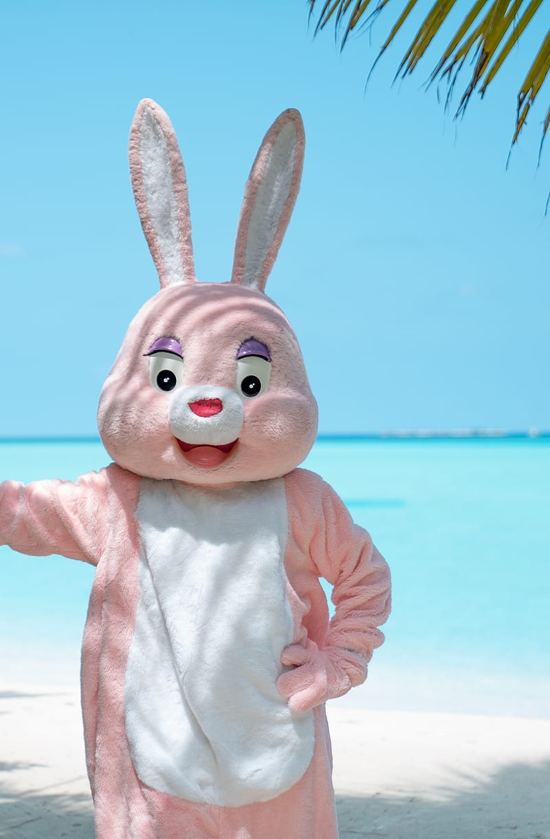 oklemme get sum SHADE , beach ocean summer sunny travel holidays, celebration, cute funny fun, easter bunny bts, easter egg bunny rabbit pink cute fun funny high quality marvin the easter bunny trending popular new fresh, maldives, marvin, tropical island, HD phone wallpaper