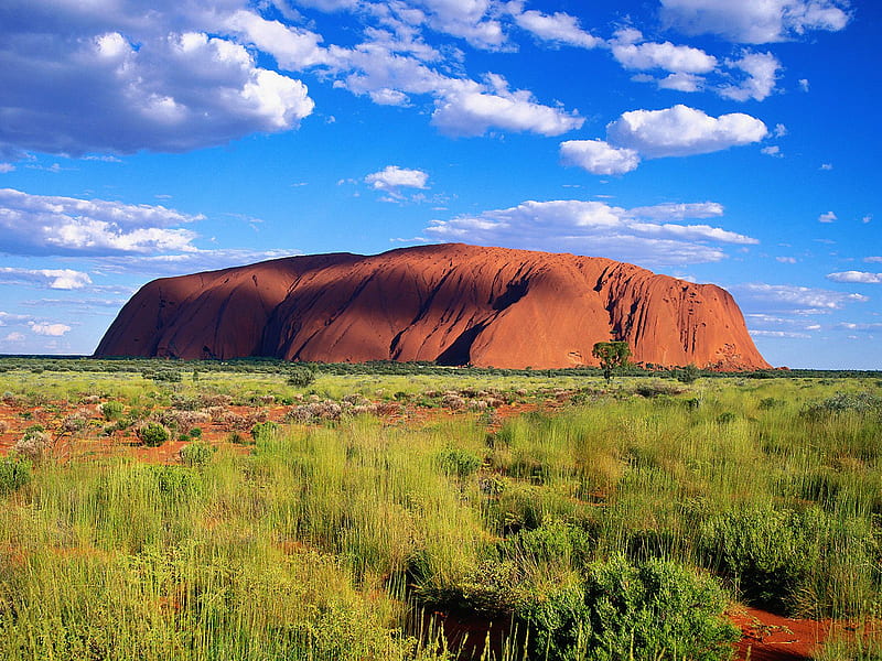 Uluru Kata Tjuta National Park Australia, mountain, red, green, australia, field, HD wallpaper