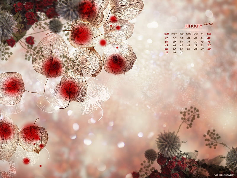 Beautiful-January 2012 calendar themes, HD wallpaper