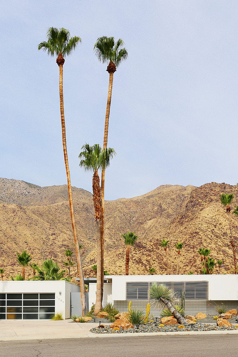 palm, hills, sandy, building, HD phone wallpaper