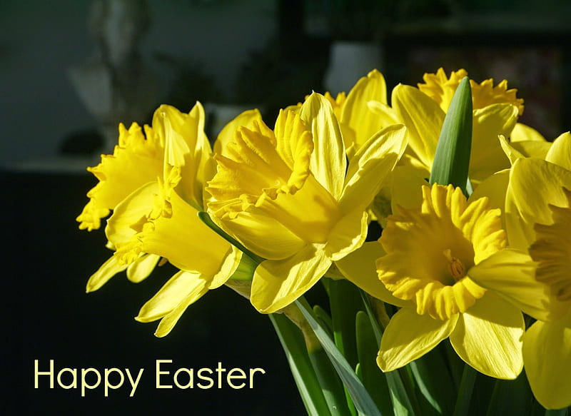 Happy Easter!, Easter, Happy Easter, daffodils, flowers, Spring, HD wallpaper