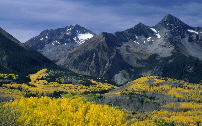 Mountain Lanscape, grass, yellow, sky, alpine, mountain, snow, dark, flowers, lanscape, HD wallpaper