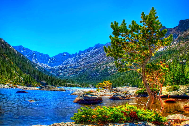 BEAUTY ALONG THE RIVER, rocks, mountains, woods, river, r, trees, pines, HD wallpaper
