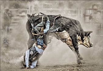 Rodeo and background HD wallpapers  Pxfuel