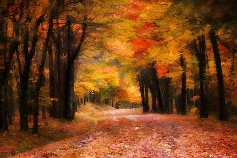 Autumn road., fall, autumn, tree, path, nature, colour, road, leaf, HD ...