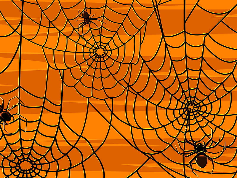 Spiders, october 31, holiday, orange, halloween, spider, HD wallpaper