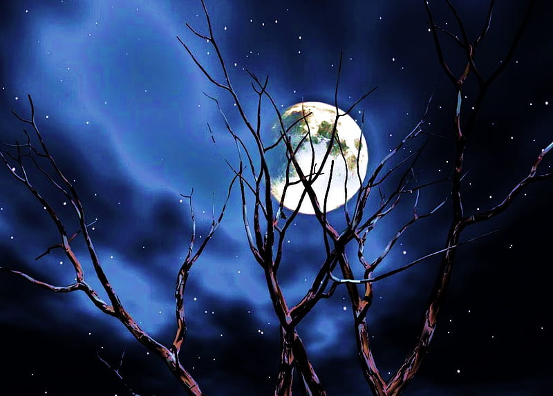 Night Sky Moon  Free photo on Pixabay  Pixabay