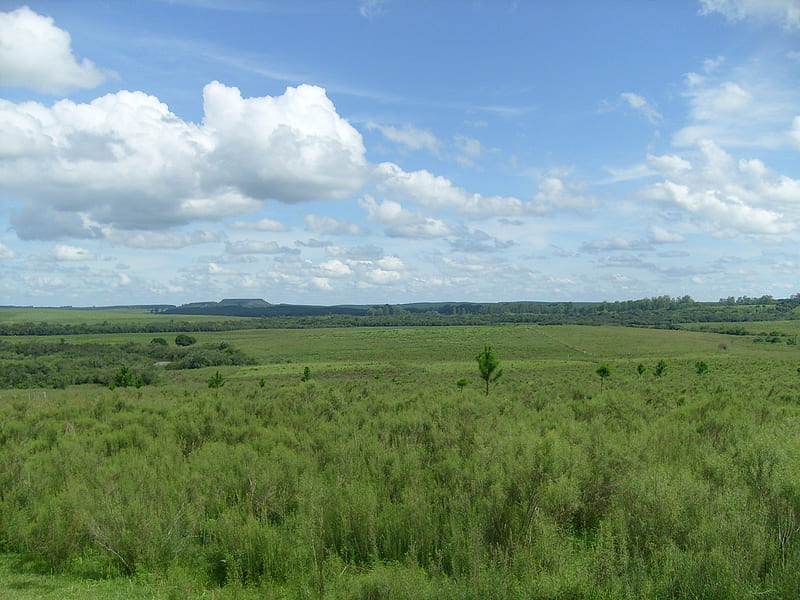 One landscape in Rivera, nature, sky, green, HD wallpaper