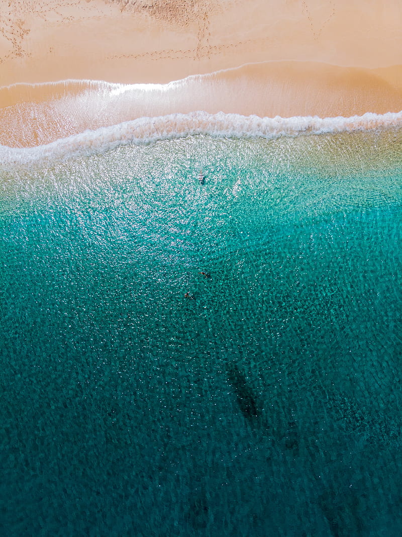 beach, sea, aerial view, water, people, summer, HD phone wallpaper
