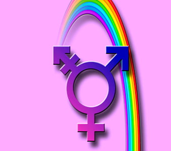 Transgender, gender, rainbow, trans, HD wallpaper