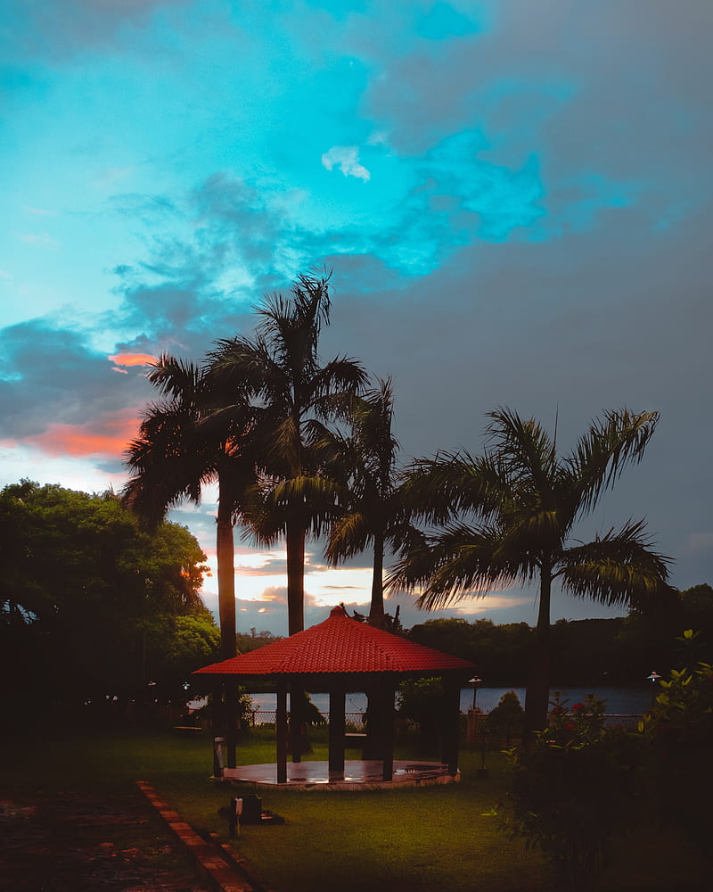 arbor, palm trees, sunset, sky, tropics, HD phone wallpaper