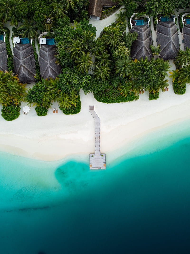 beach, pier, aerial view, palm trees, tropics, HD phone wallpaper