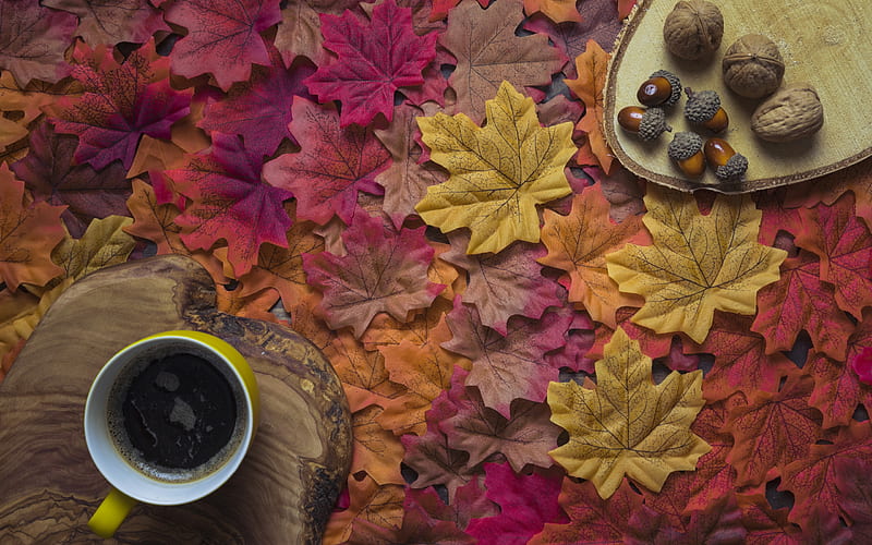 leaf, red, acorn, autumn, coffee, yellow, cup, HD wallpaper