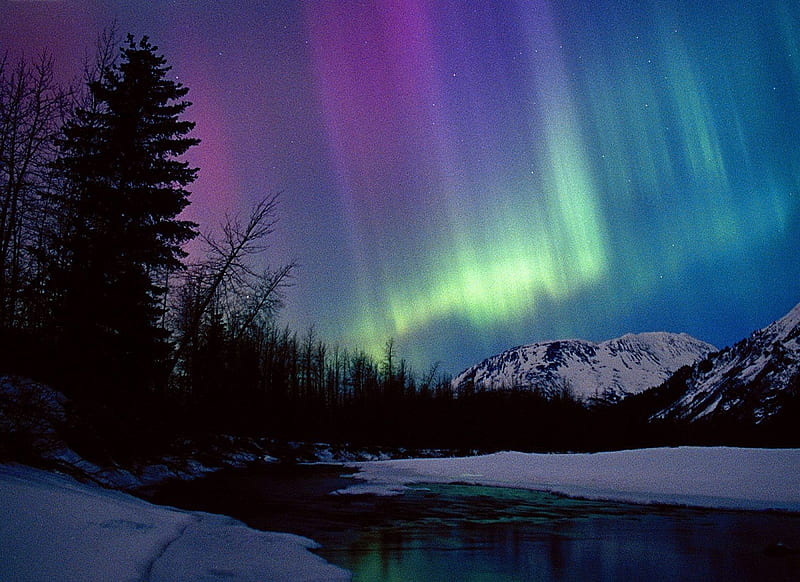 Northern Lights over Portage River Valley, Alaska background, snowy, nice, multicolor mounts, bright, sunrises, brightness, alaska, sunrays, snow, purple, mountains, violet, white, northern lights, bonito, cold, leaves, roots, green, america, blue, night, lakes, icy, day, nature branches, pc, portage river valley, iced, lightness, peaks, rivers, black, trees, lagoons, sky, forces of nature, water, cool, awesome, ice, hop, fullscreen, colorful, gray, laguna, aurora boreal, trunks graphy, aurora borealis, river, amazing multi-coloured, alaskan, colors, leaf, colours, over, frozen, natural, HD wallpaper